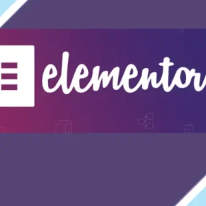 Elementor Pro